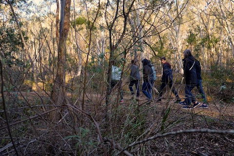 Wild Australian Wildlife 4WD Tour From Sydney - Lismore Accommodation 0