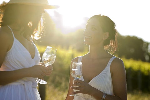 Hunter Valley Wine Tour From Sydney With Lunch And 3 Cellar Door Tastings - Lismore Accommodation 4