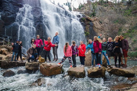 Great Ocean Road And Grampians 2 Day Short Break Escape From Melbourne - Lismore Accommodation 5