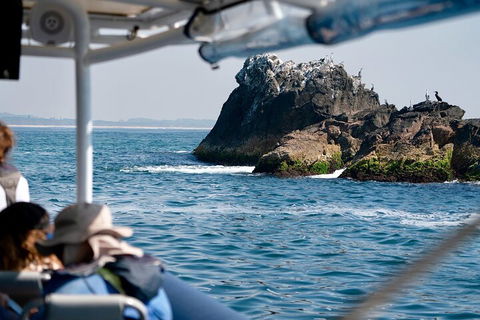 Julian Rocks Byron Bay Cruise - Lismore Accommodation 2