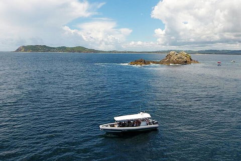 Julian Rocks Byron Bay Cruise - Lismore Accommodation 5