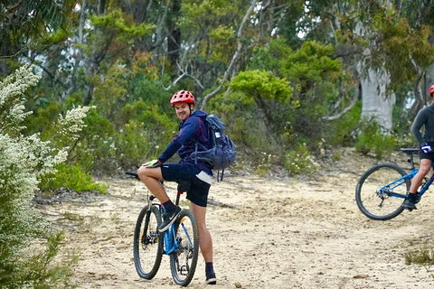 Blue Mountains Hanging Rock SELF-GUIDED Mountain Bike Hire Service - Lismore Accommodation 4