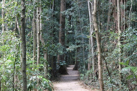 Eumundi Markets And Sunshine Coast Day Trip From Brisbane - Lismore Accommodation 4