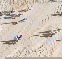 Unlimited Sandboarding - Lismore Accommodation