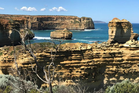 Great Ocean Road Reverse Itinerary Tour - Lismore Accommodation 1