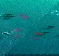 40-45 Minute Port Stephens and Stockton Beach Helicopter Flight - For 2 - Lismore Accommodation