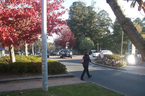 PRIVATE All-Day Blue Mountains Tour With Professional Guide For Up To 4 People - Lismore Accommodation 1