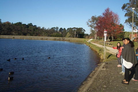 PRIVATE All-Day Blue Mountains Tour With Professional Guide For Up To 4 People - Lismore Accommodation 2