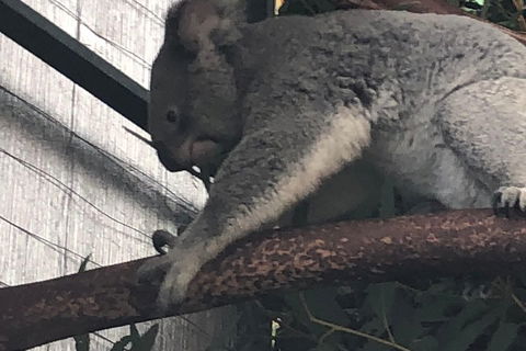 Perth Hills - Wildlife, Art & Gastronomy - Lismore Accommodation 3