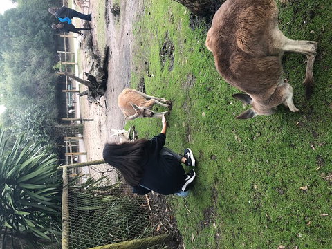 Perth Hills - Wildlife, Art & Gastronomy - Lismore Accommodation 4