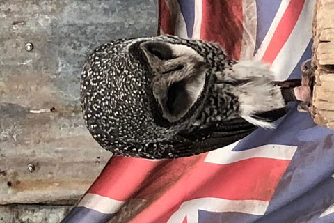 Perth Hills - Wildlife, Art & Gastronomy - Lismore Accommodation 5