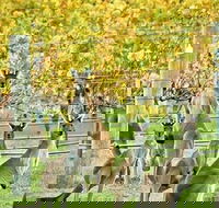 Margaret River Indulge and Discover Day Tour - Lismore Accommodation