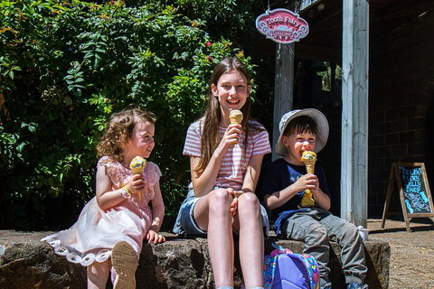 Kryal Castle Adventure Park Admission Ticket - Lismore Accommodation 1