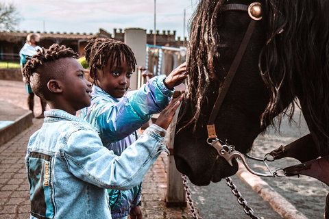 Kryal Castle Adventure Park Admission Ticket - Lismore Accommodation 3