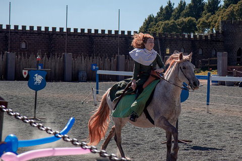 Kryal Castle Adventure Park Admission Ticket - Lismore Accommodation 5