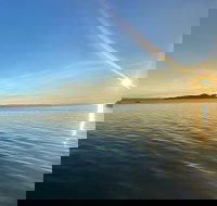 Aquascene Magnetic Island Discovery Tour - Lismore Accommodation