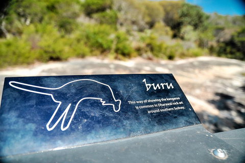 Much More To See Of Sydney Private Tour - Lismore Accommodation 3