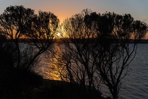 Much More To See Of Sydney Private Tour - Lismore Accommodation 4