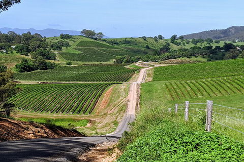 The Complete Hunter Valley Wine Tour Of Pokolbin, Mt View, Lovedale And Rothbury - Lismore Accommodation 0