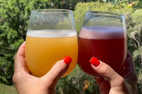 Hipster Sipster Brewery And Distillery Tour - Lismore Accommodation 3