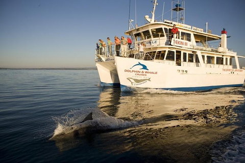 Jervis Bay Dolphin Watch Cruise - Lismore Accommodation 3