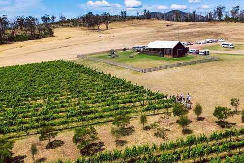 Tasmanian Wine Tour - Lismore Accommodation 3