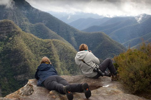 Inside The Greater Blue Mountains World Heritage - A Private Wildlife Safari Overnight - Lismore Accommodation 0