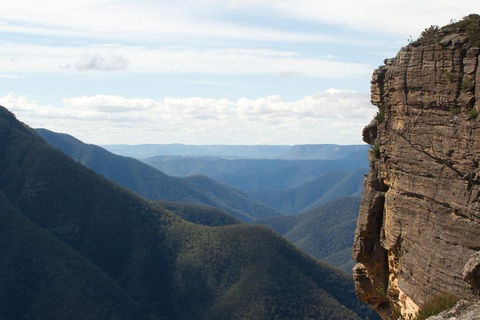 Inside The Greater Blue Mountains World Heritage - A Private Wildlife Safari Overnight - Lismore Accommodation 4