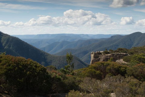 Inside The Greater Blue Mountains World Heritage - A Private Wildlife Safari Overnight - Lismore Accommodation 5