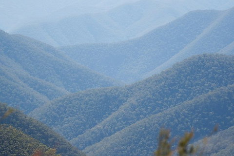 From The Mountains To The Bay - 4 Day Rediscovery Private Tour - Lismore Accommodation 1