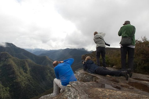 From The Mountains To The Bay - 4 Day Rediscovery Private Tour - Lismore Accommodation 4