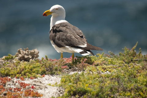 From The Mountains To The Bay - 4 Day Rediscovery Small Group Tour - Lismore Accommodation 1