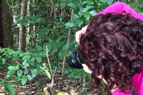 Let's Go Buggin & Let's Go Shroomin - Photography & Nature Walking Tours - Lismore Accommodation 1