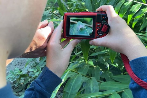 Let's Go Buggin & Let's Go Shroomin - Photography & Nature Walking Tours - Lismore Accommodation 2