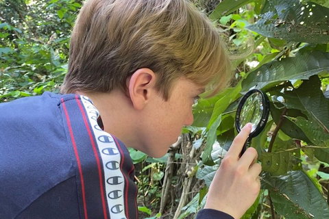 Let's Go Buggin & Let's Go Shroomin - Photography & Nature Walking Tours - Lismore Accommodation 3