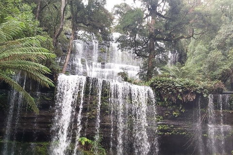 6-Day Hearty Tasmania Tour (Tasmania In A Circle) - Lismore Accommodation 0