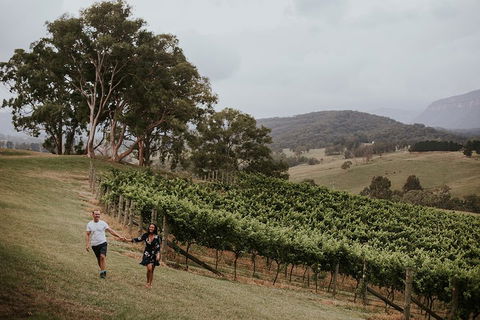 Luxury Blue Mountains Tour With Aussie BBQ Lunch And Wine Tasting - Lismore Accommodation 3