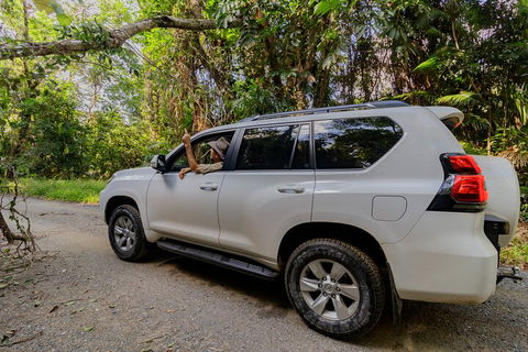 Full Day Cooktown Private Tour - Lismore Accommodation 3