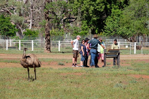Yura Udnyu - Our Culture, Your Culture (Aboriginal Cultural Walk) - Lismore Accommodation 1
