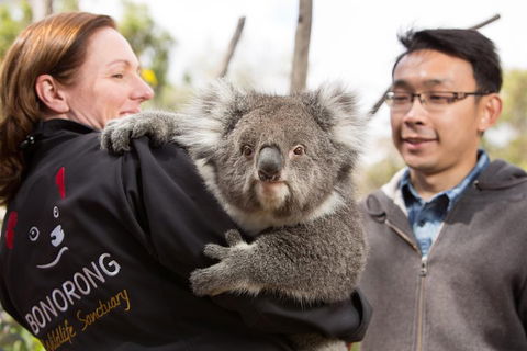 Bonorong Wildlife Park And Richmond Afternoon Tour From Hobart - Lismore Accommodation 0