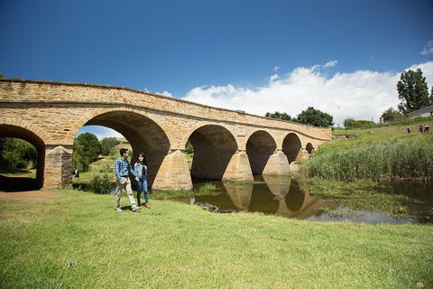 Bonorong Wildlife Park And Richmond Afternoon Tour From Hobart - Lismore Accommodation 2