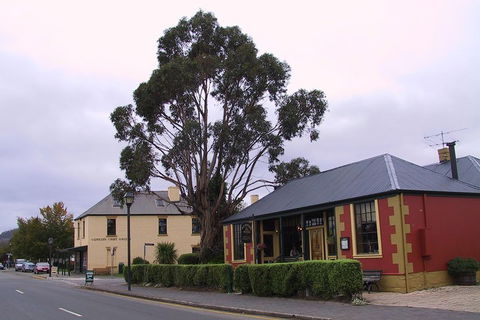 Bonorong Wildlife Park And Richmond Afternoon Tour From Hobart - Lismore Accommodation 3