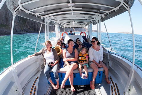 Seal Island Boat Tour From Victor Harbor - Lismore Accommodation 1