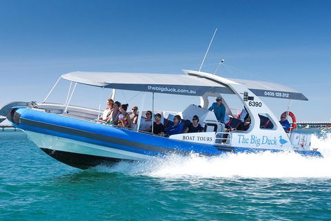 Southern Ocean Adventure From Victor Harbor - Lismore Accommodation 5