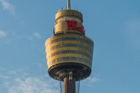 Hop-On Hop-Off Bus And PLUS 4 Merlin Attractions - Lismore Accommodation 3