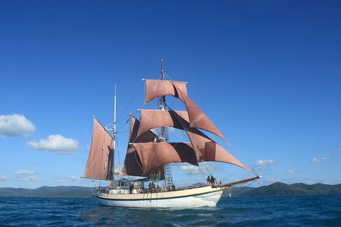 Sydney Harbour Tall Ship Whale & Sail - Whale Watching Cruise - Lismore Accommodation 1