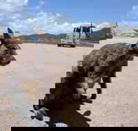 Magnetic Island Tour Maggie Comprehensive - Lismore Accommodation