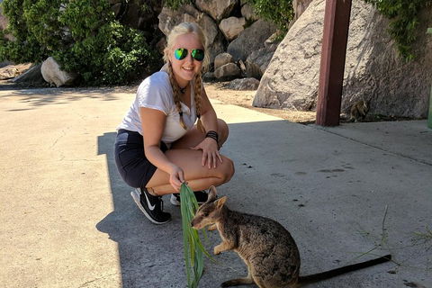 Magnetic Island Tour: Maggie Comprehensive - Lismore Accommodation 2