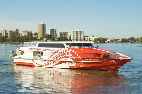 Rottnest Island Round-Trip Ferry From Perth Or Fremantle - Lismore Accommodation 5