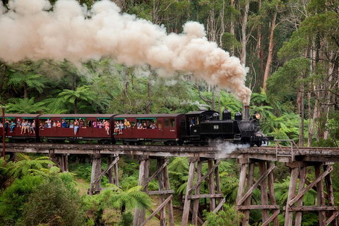 Melbourne Combo: Great Ocean Road, Puffing Billy, Moonlit Sanctuary & Penguins - Lismore Accommodation 1